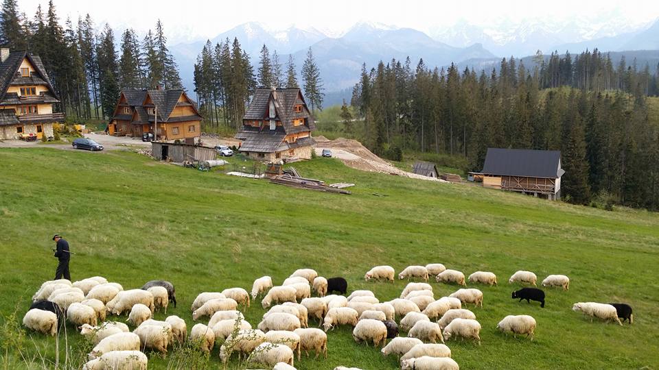 Na pizze do Poronina – Tatry